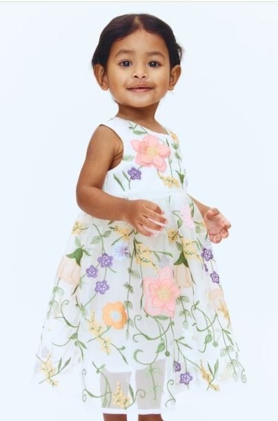 Baby h&m Floral Embroidered Organza Dress